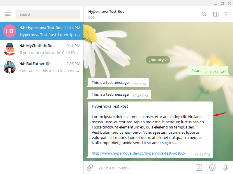 أضف Telegram إلى WordPress - نجح الاختبار