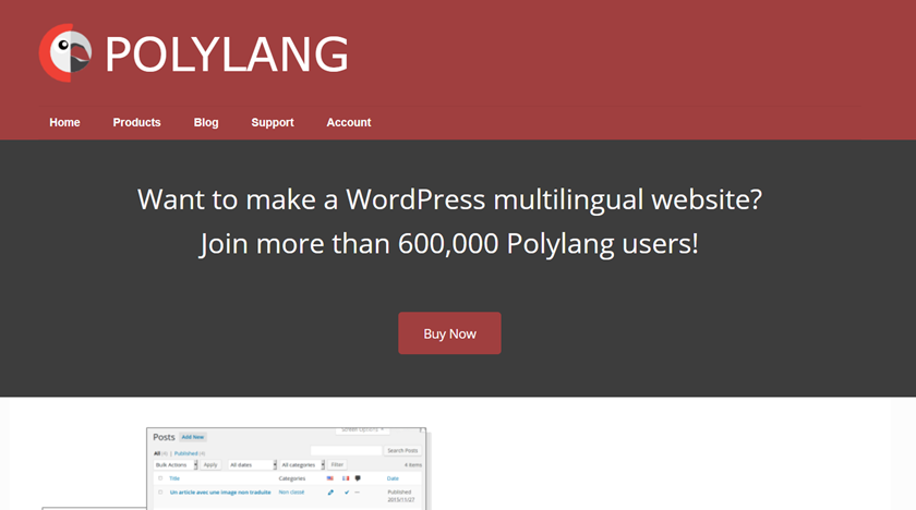 najlepsze wtyczki do tłumaczenia dla wordpress - polylang