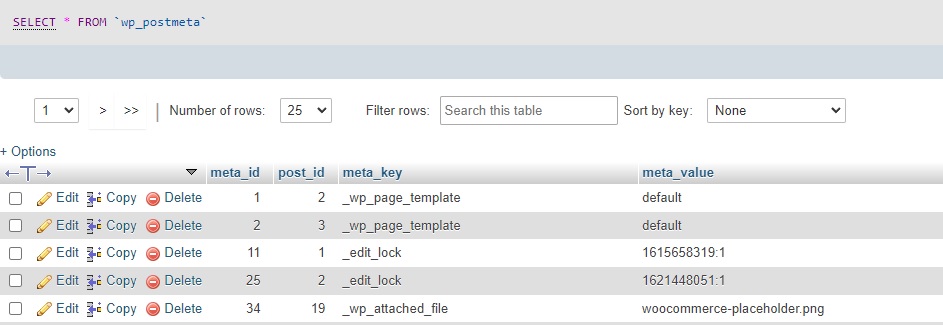 數據庫 wordpress 以編程方式創建自定義字段