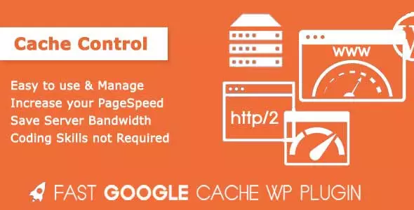 Google Cache rapid