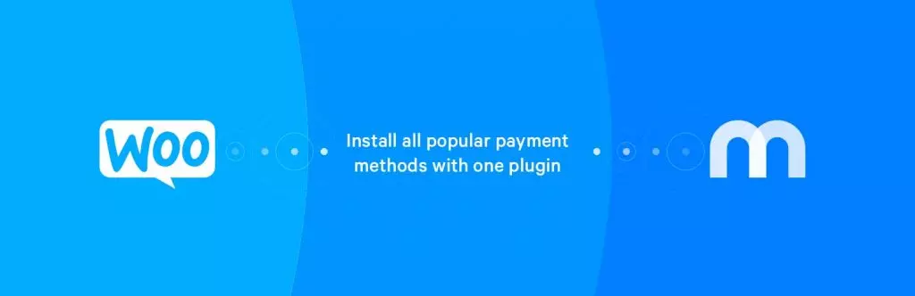 Plugin de passerelle de paiement Mollie Payments