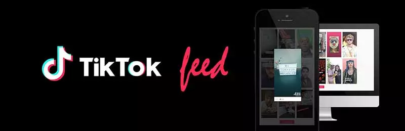 WP TikTok-Feed von QuadLayers