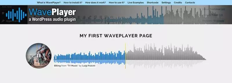 WordPress-Audioplayer-Plugins