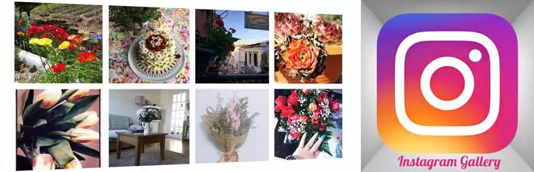 Плагин WordPress для галереи Instagram