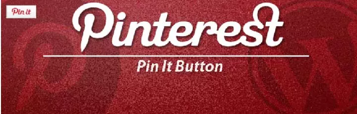 Pinterest 将按钮固定在图像悬停插件上