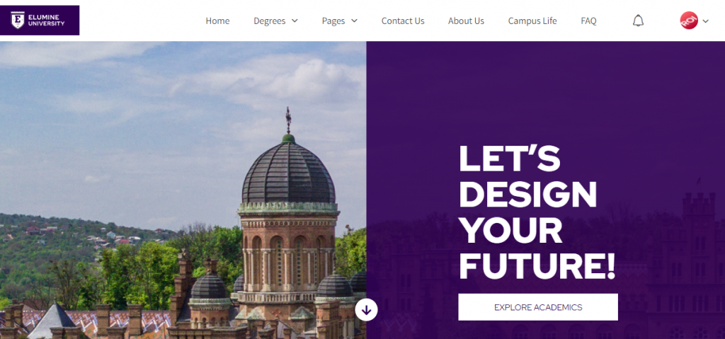 eLumine-University-LearnDash-Theme-Demo-сайт