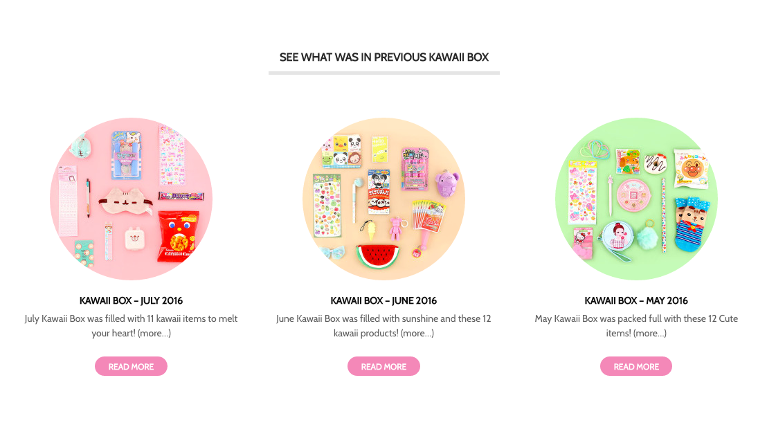 Kawaii Box 主页的图片，详细说明了他们的订阅选项。