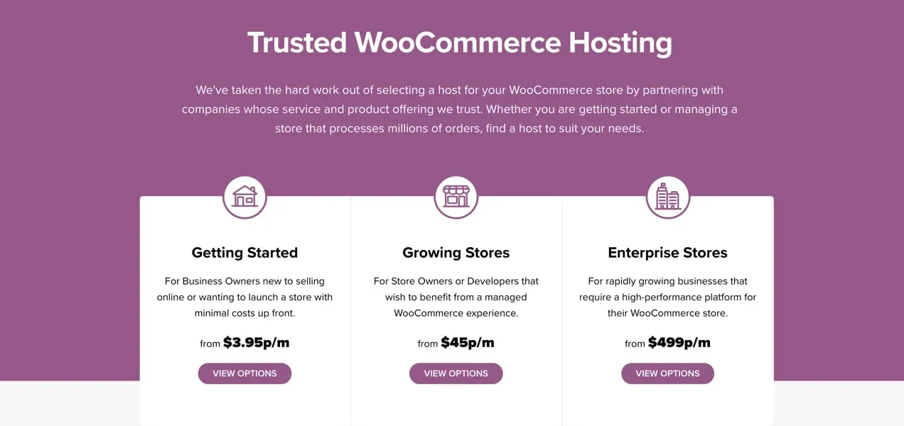 Страница хостинга WooCommerce с рекомендациями для магазинов любого уровня