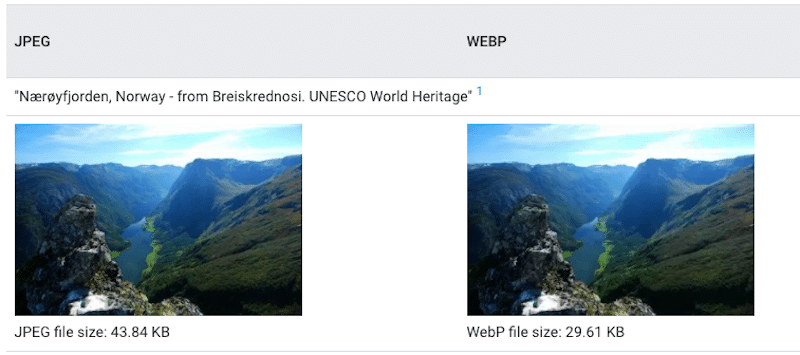 JPEG vs WebP: mesma qualidade, mas tamanho diferente - Fonte: Galeria WebP