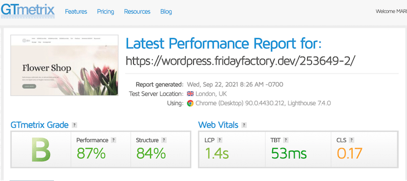 Audit de performance sans Imagify - Source : GTmetrix