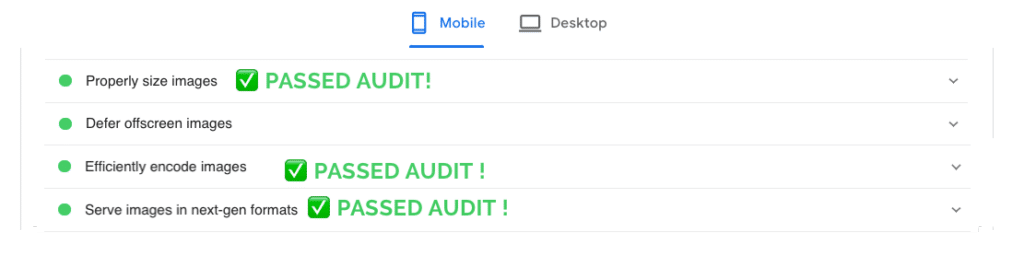 Mi sitio web pasó la auditoría con Imagify