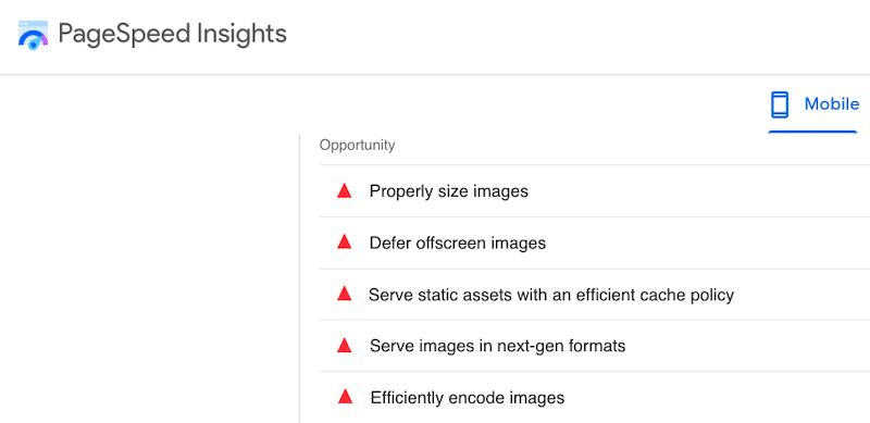 画像関連の問題-出典：Google PageSpeed Insights