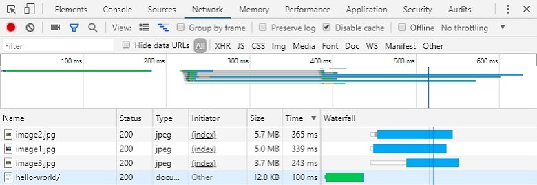 Registerkarte Google Chrome-Netzwerk