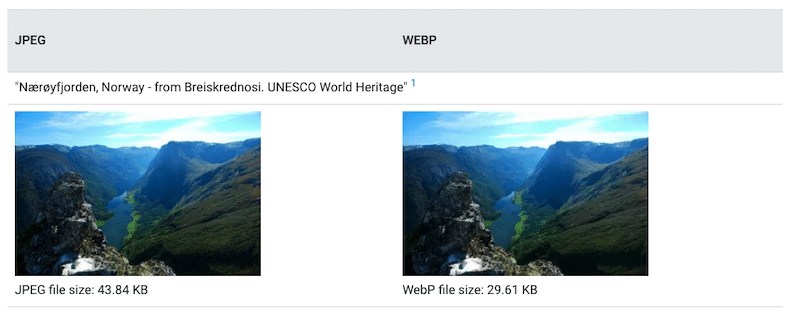 Mengonversi gambar ke WebP untuk menghemat hingga 25% - Sumber: Google Developers