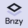 โลโก้ Brizy