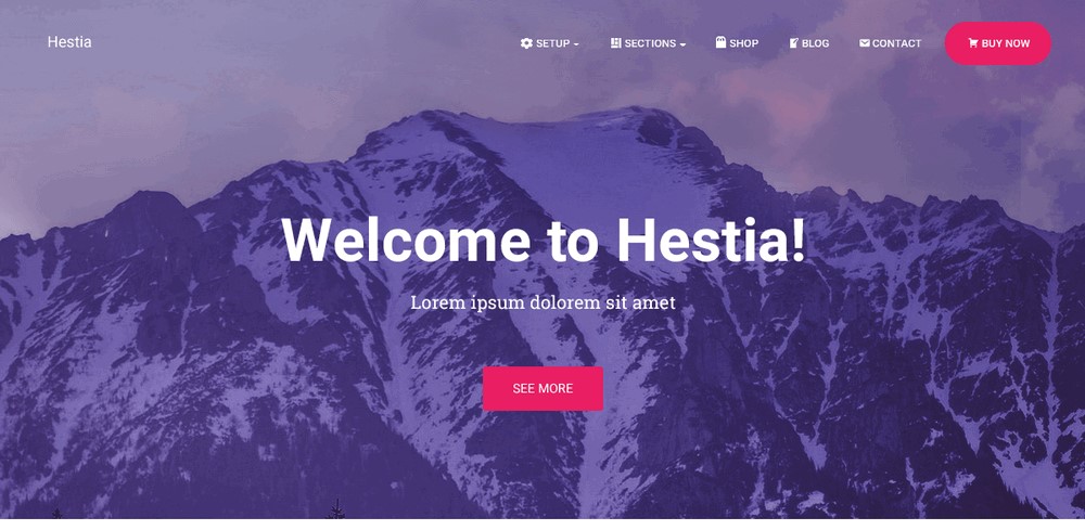 Hestia WordPress teması