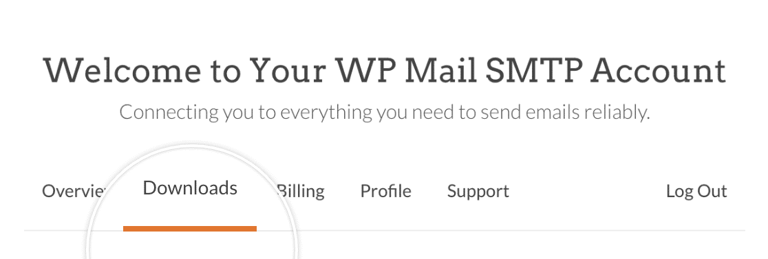 WP Mail SMTP'yi İndirin