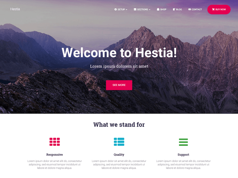 Tema WordPress Hestia adalah #5 dalam hal tema masa depan