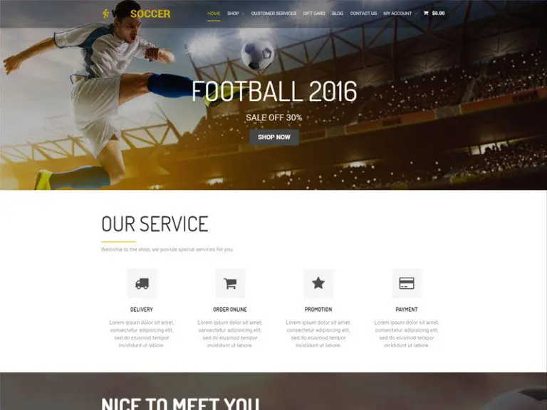 Ws Soccer Free Responsive Wordpress Woocommerce Theme For Sport