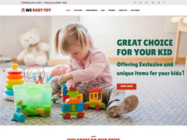 Ws Toy ฟรี Wordpress Woocommerce Theme สำหรับ Kids Store