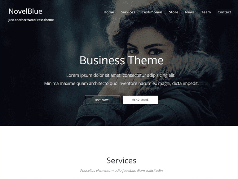 Novelblue 免费博客 Wordpress 主题