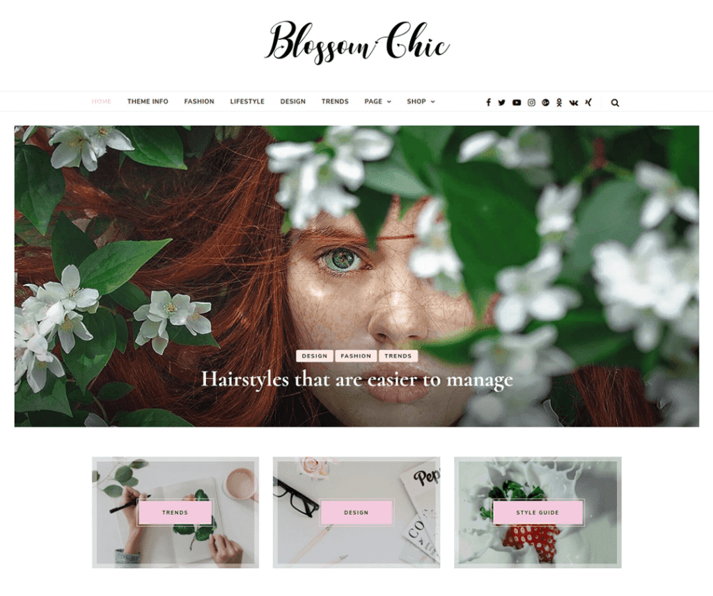 Tema Wordpress Fotografi Blossom Chic Gratis