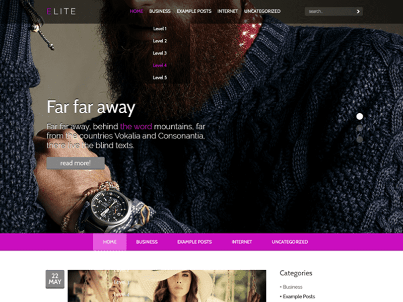 Elite Fashion Wordpress Tema Grátis