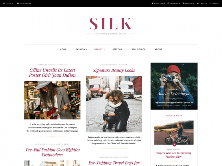 Silk Lite 免費娛樂 Wordpress 主題