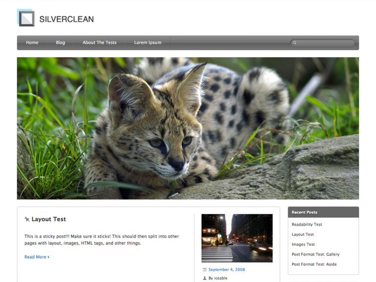 Silverclean Lite 免費娛樂 Wordpress 主題