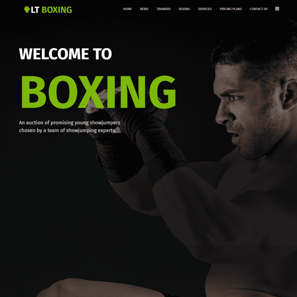 Lt Boxing Onepage 免費單頁響應式 Joomla 運動主題