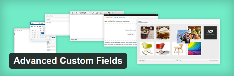 Advanced Custom Fields Free ملحقات WordPress الأكثر شيوعًا