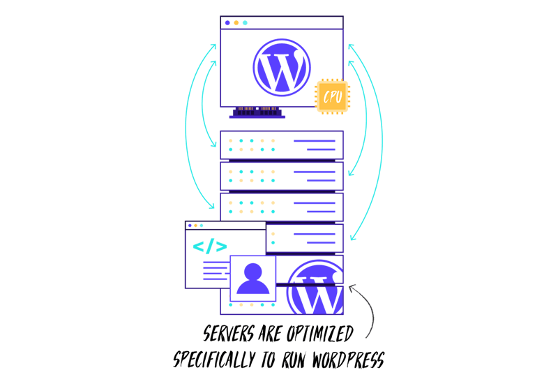 zarządzany hosting wordpress