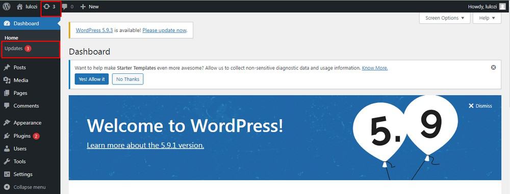 actualización de wordpress