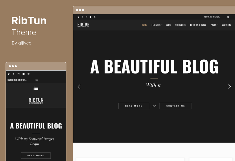 ธีม RibTun - ธีมบล็อก WordPress สำหรับนักเขียน