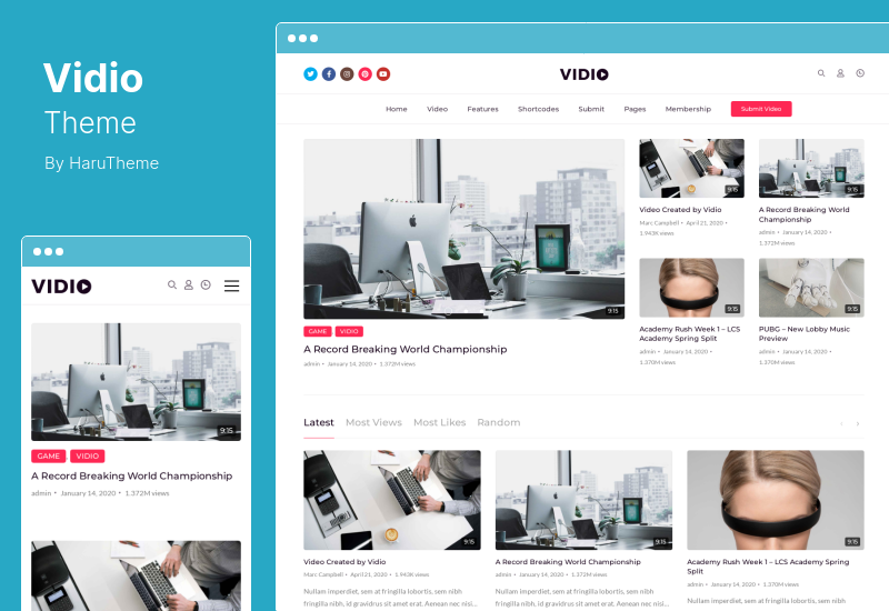 Vidio-Thema - Video-Manager-WordPress-Thema