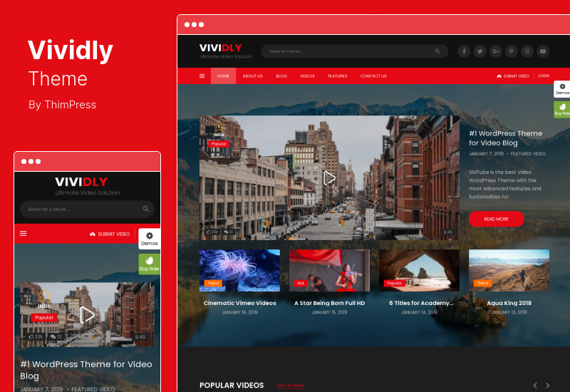 Thème Vividly - Thème WordPress pour blog vidéo