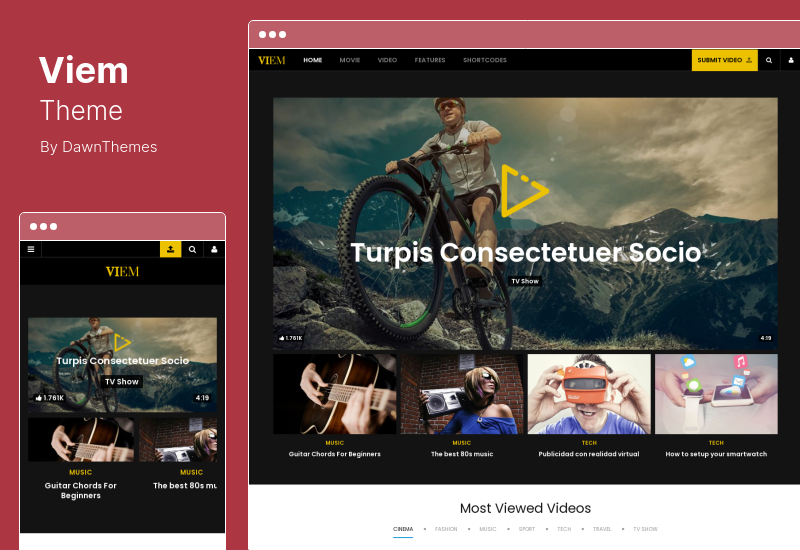 Motyw Viem — motyw wideo WordPress