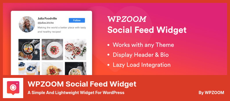 WPZOOM Social Feed Widget Plugin - um widget simples e leve para WordPress