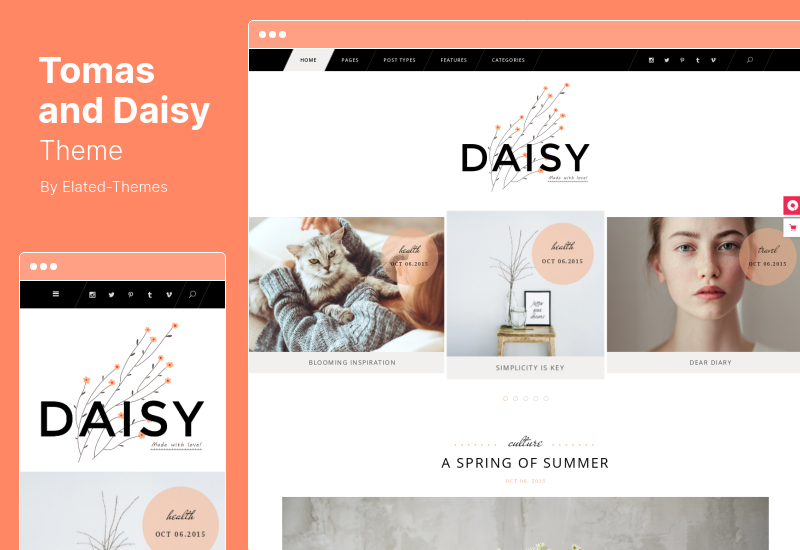 Tomas and Daisy Theme - บล็อกส่วนตัว WordPress Theme