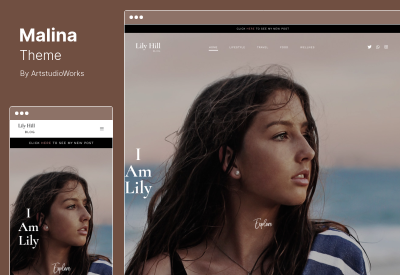 Malina Theme - Tema Blog WordPress Pribadi