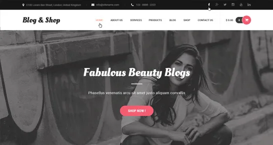 blog loja temas wordpress