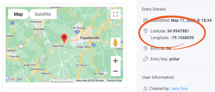 Os dados de geolocalização em Detalhes de entrada do formulário.