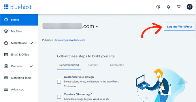 Bluehost control panel