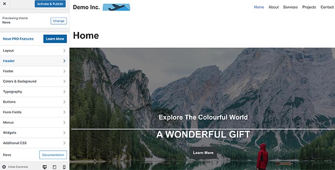 Live preview WordPress theme