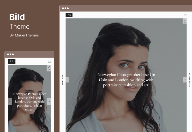 Bild Theme — skoncentrowany motyw fotografii WordPress