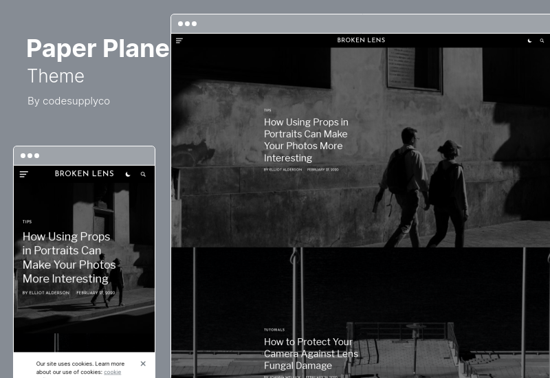 Paper Plane Theme - Tema WordPress modernă pentru blogul WordPress