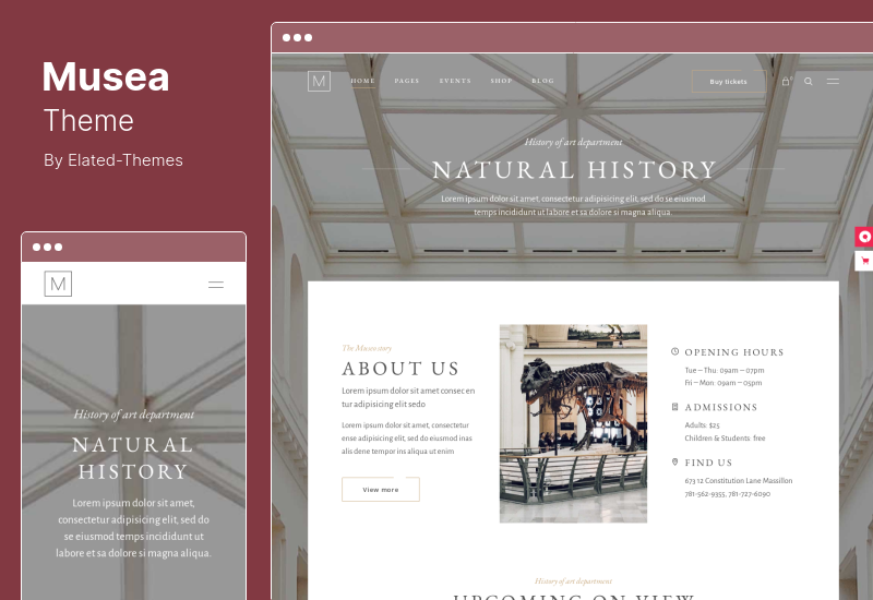 ธีม Musea - Art Gallery Museum WordPress Theme