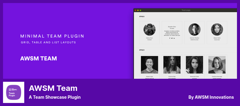 AWSM Team Plugin - Un plugin de prezentare pentru echipă