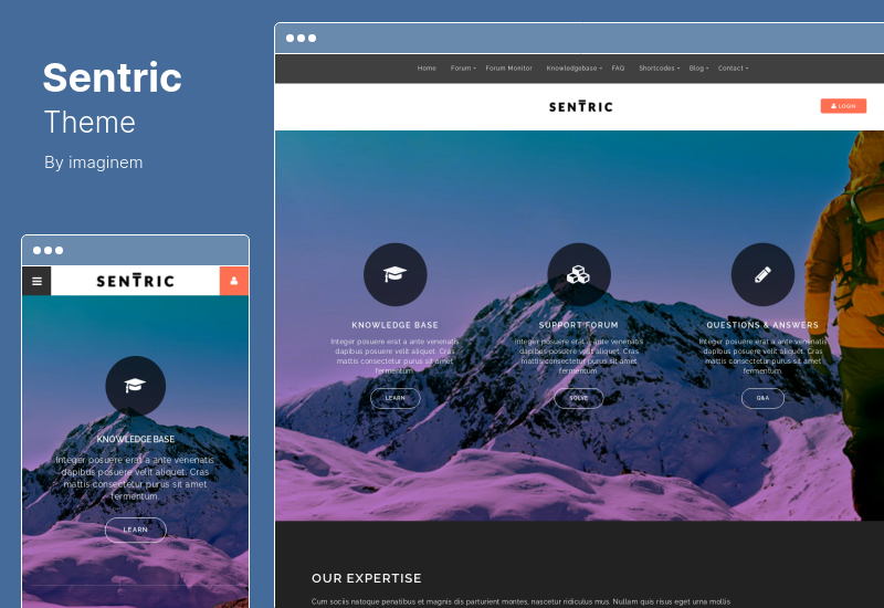 Sentric Theme - Tema de WordPress para foros de soporte