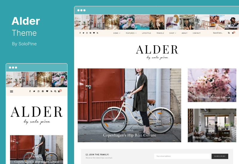 Alder Theme - Un tema de blog de WordPress receptivo